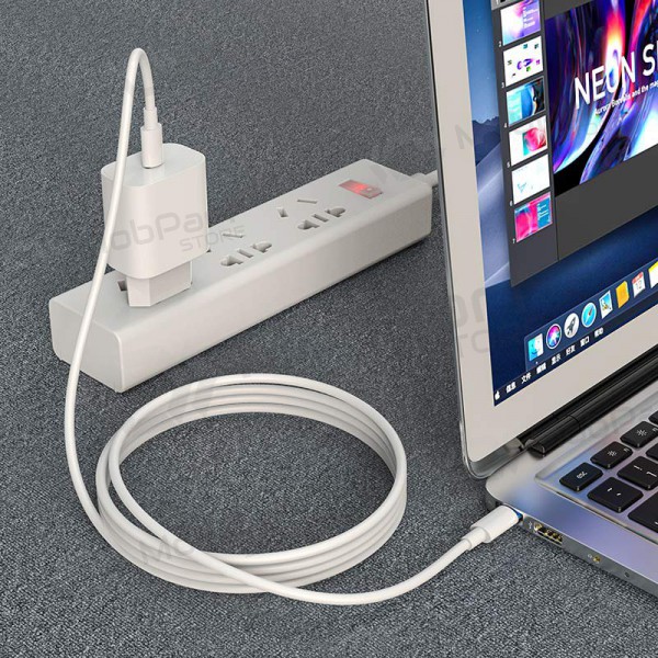 USB kaapeli Hoco X51 Type-C - Type-C 20V 5A 100W 1.0m (valkoinen)