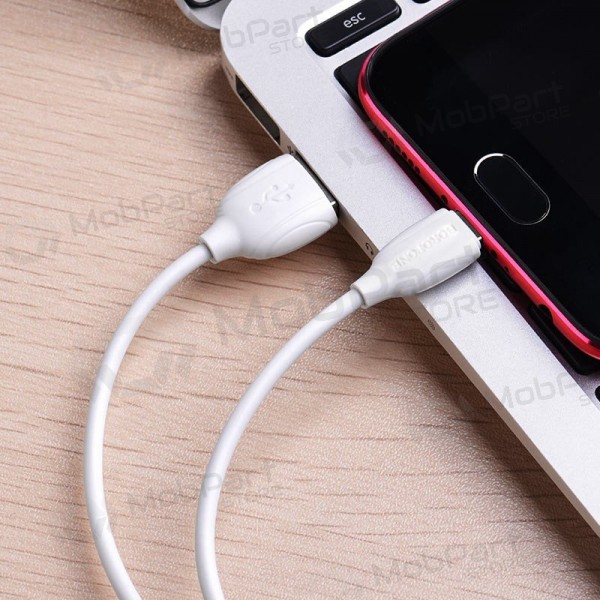 USB kaapeli Borofone BX19 USB-A to MicroUSB 1.0m valkoinen